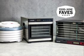 Best food dehydrators displayed on marble countertop