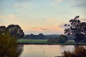 Coworth Park in autumn