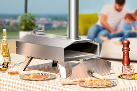 Wayfair Pizza Oven Sale