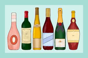 Different shapes of wine bottles