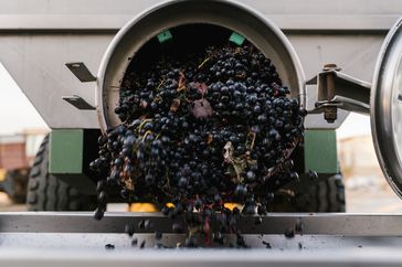 machines for shredding the one in a winery