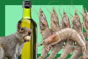 A squirrel, bottle of olive oil and gulf shrimp in a photo composite, over a green background.