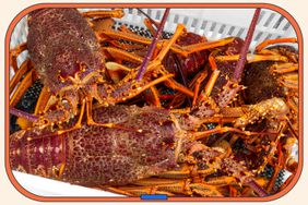 A bucket of crayfish